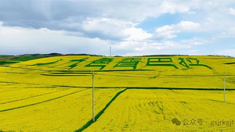 金控甘南擔(dān)保助力合作市油菜花海項(xiàng)目  跑出鄉(xiāng)村振興“加速度”
